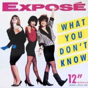 Exposé ‎– What You Don't Know 12 inch Maxi Single LP Record